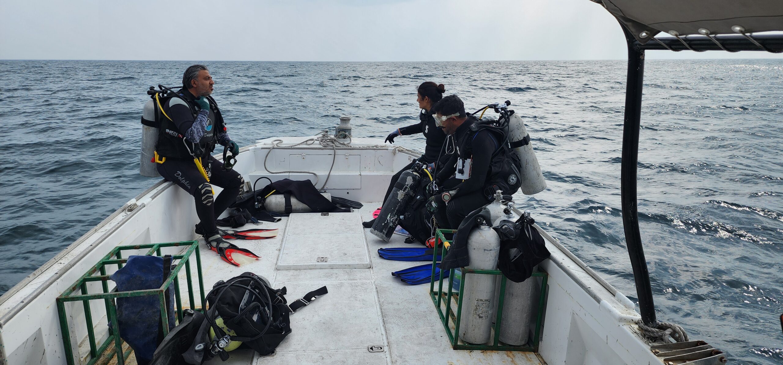 Marine ecology survey and coral reef assessment