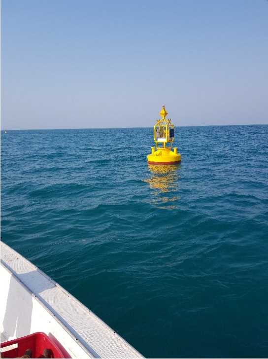 Rapid deployment of environmental monitoring buoy